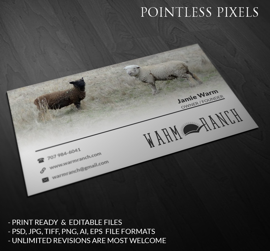 Visitenkarten-Design von Pointless Pixels India für dieses Projekt | Design #5216728