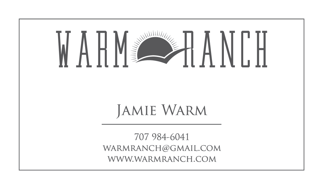 Business Card Design by Atvento Graphics for this project | Design #5247954