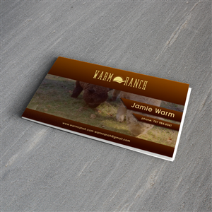 Diseño de Tarjeta de Presentación por Pram Shaw para este proyecto | Diseño: #5220429