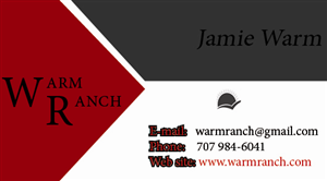 Business Card Design by tamaraenache6