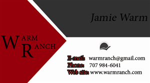 Diseño de Tarjeta de Presentación por tamaraenache6 para este proyecto | Diseño: #5211971