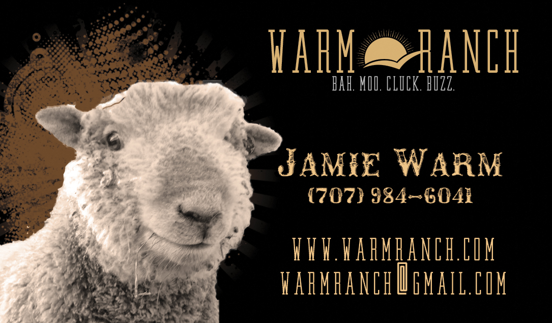 Business Card Design by Kat Connors for this project | Design #5211567