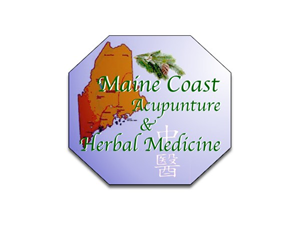 Logo Design by 786pratama