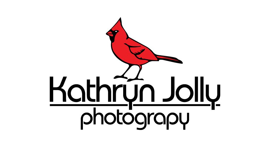 Logo Design by Manke Creative for All Kinds of Lovely Photography | Design #5213222