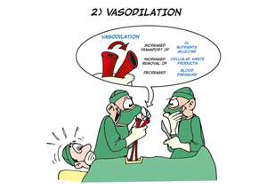 Illustration Design by Loko Cartoons for British Cambridge | Design: #5214559