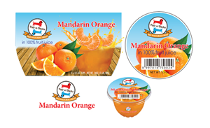Packaging Design by ERICK ANDRE VOORNEMAN for Briza Services, Inc. | Design #5292306