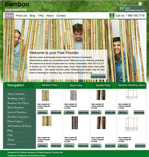 Web Design by webwinner for this project | Design: #281110