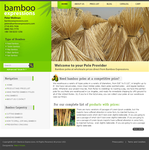 Diseño Web por webxvision para este proyecto | Diseño #266841