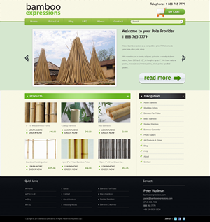 Diseño Web por Rananjay Singh para este proyecto | Diseño #275933