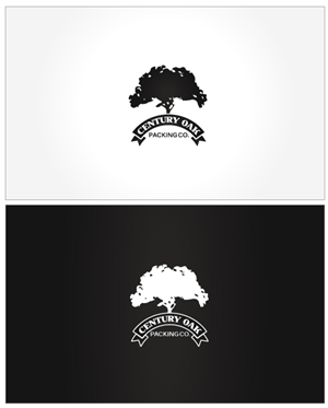 Logo Design by DUAL DESIGNER