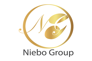 Logo Design by Ayoub Bouriaz for The Niebo Group | Design: #5272022
