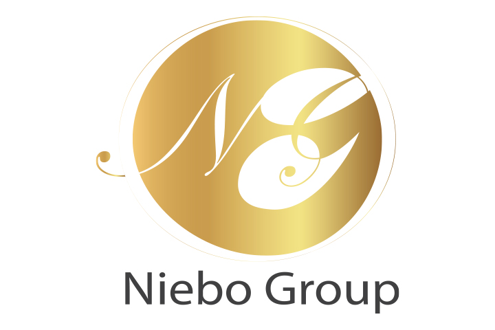 Logo Design by Ayoub Bouriaz for The Niebo Group | Design #5272035