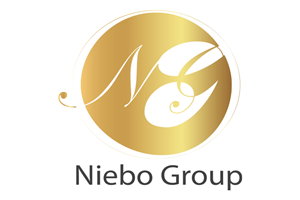 Logo Design by Ayoub Bouriaz for The Niebo Group | Design: #5272035