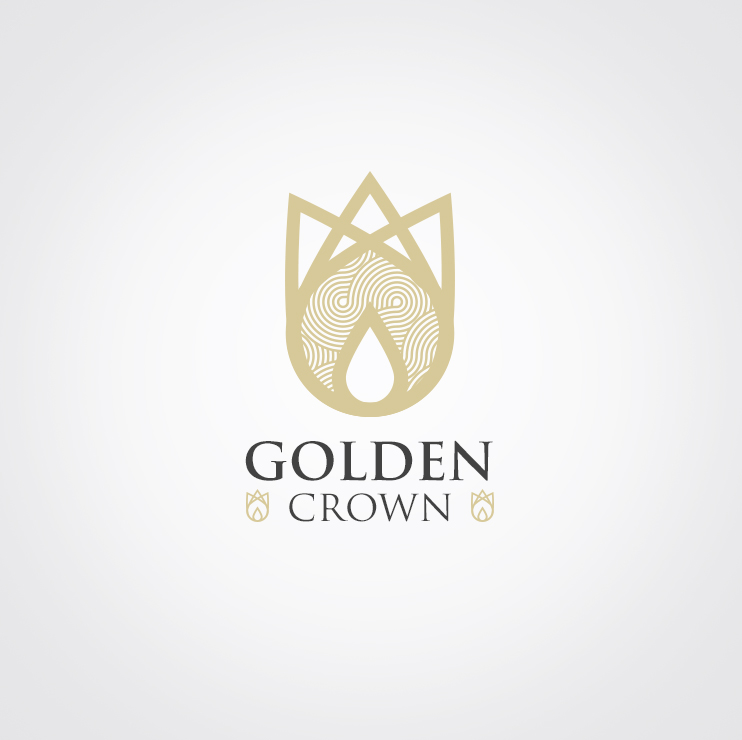 Logo Design by studio-sfp.com for Seed Tech Software Development L.L.C | Design #5223124