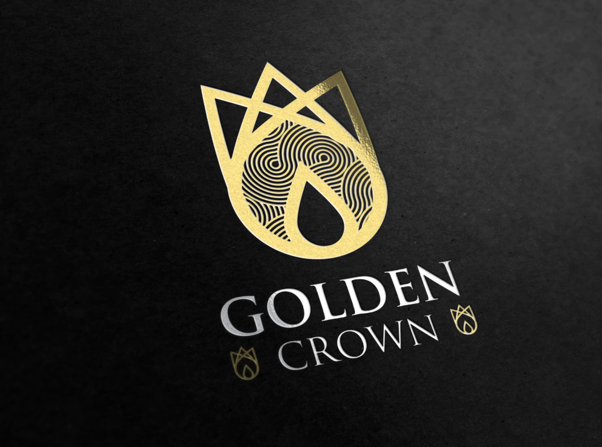 Logo Design by studio-sfp.com for Seed Tech Software Development L.L.C | Design #5223125