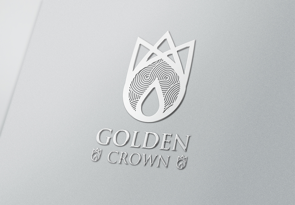 Logo Design by studio-sfp.com for Seed Tech Software Development L.L.C | Design #5223128