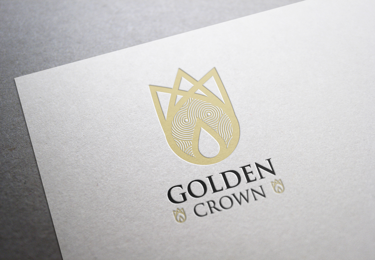 Logo Design by studio-sfp.com for Seed Tech Software Development L.L.C | Design #5223131