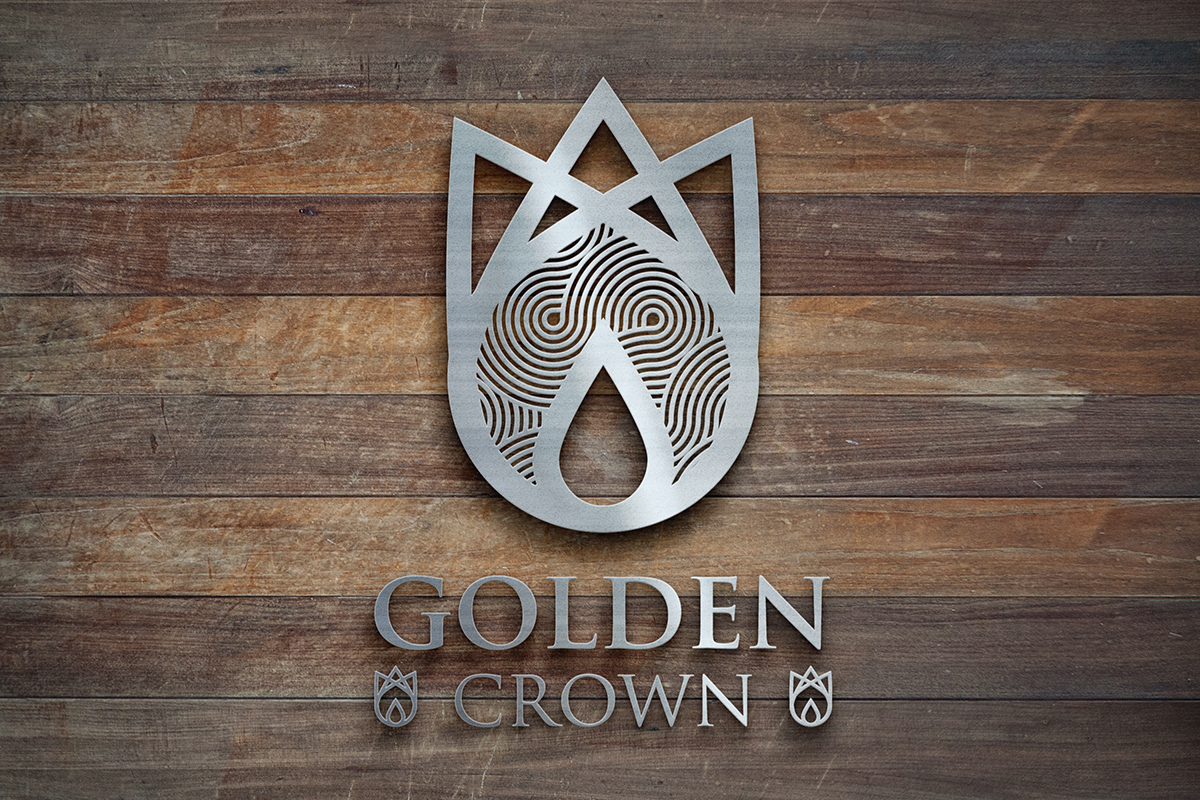 Logo Design by studio-sfp.com for Seed Tech Software Development L.L.C | Design #5223134