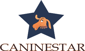 Logo Design by Acetrik