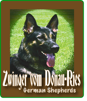 Logo Design by BJ Unger