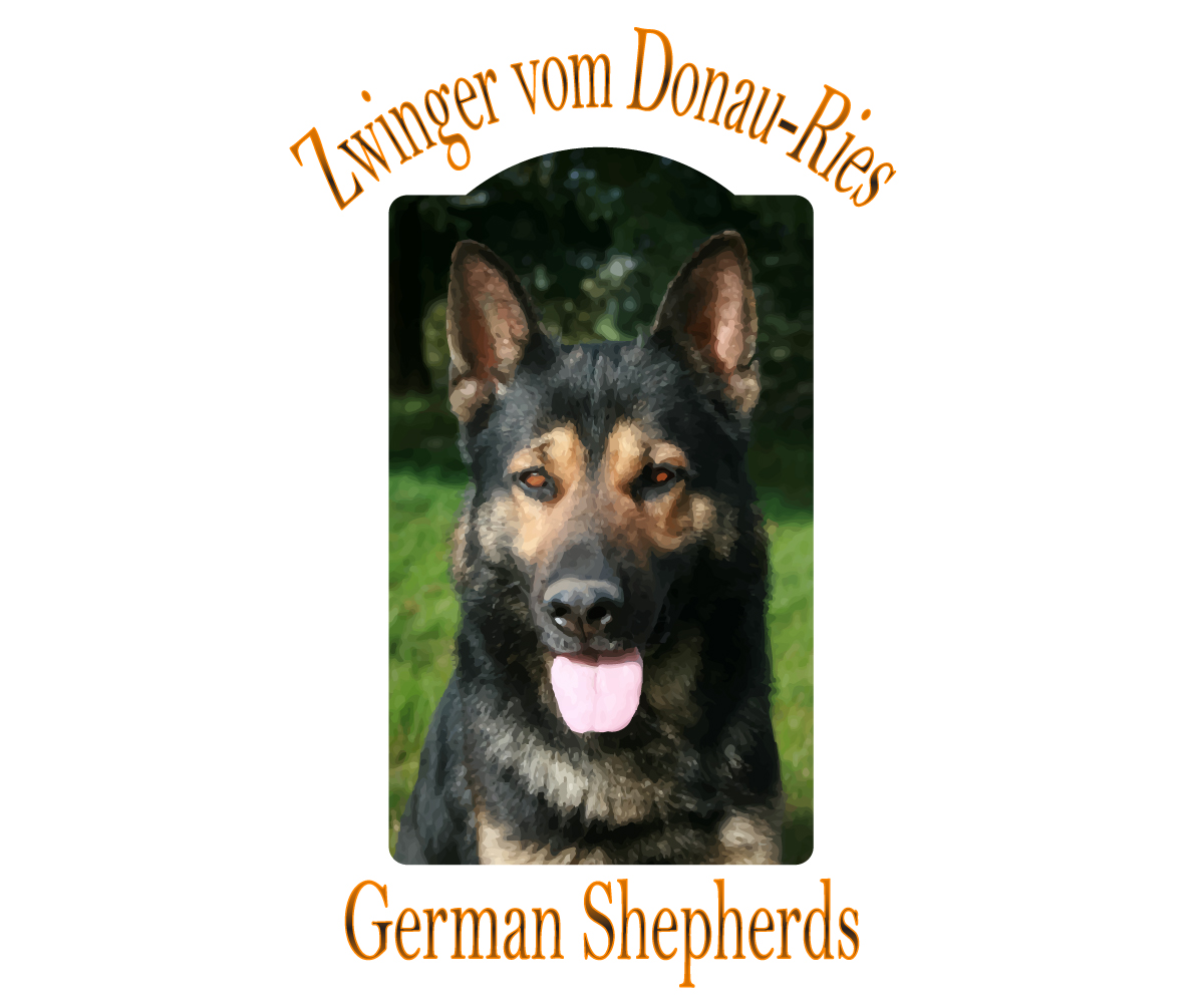 Diseño de Logo por miksug para este proyecto | Diseño #5292491