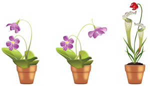 Icon Design by NEZ39 for RC Enterprises | Design: #5319454