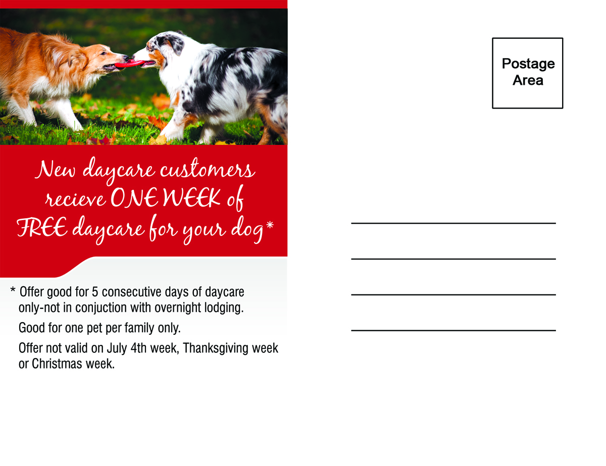 Design de Carte Postale par Akshar Shailesh pour ce projet | Design #5230233