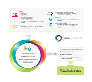 Infographic Design by Mila@CreativeMotions.com