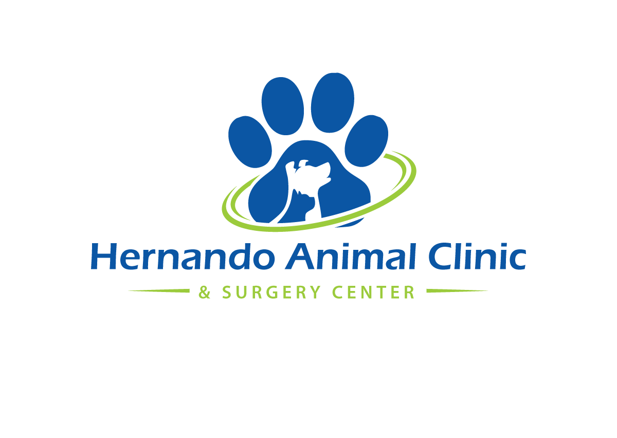 Logo Design by belovedboss for this project | Design #5278769