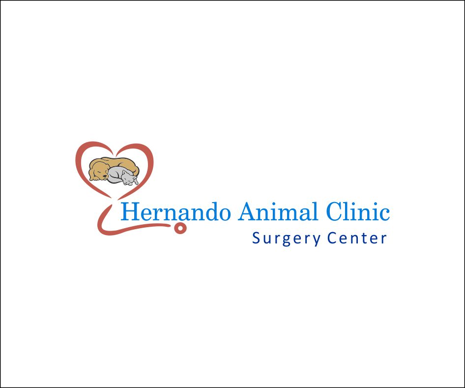 Logo Design by moniqutza for this project | Design #5303654