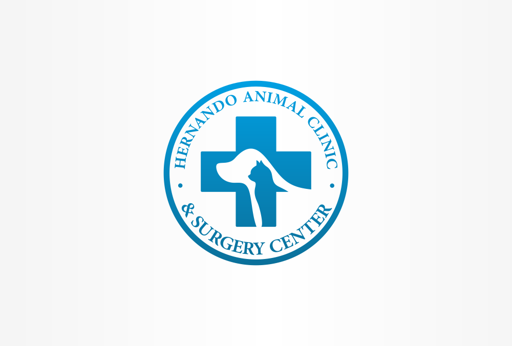 Logo Design by artsterdam for this project | Design #5301825