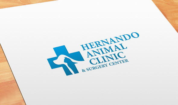 Logo Design by artsterdam for this project | Design #5301838