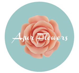 Logo Design by haleems.es