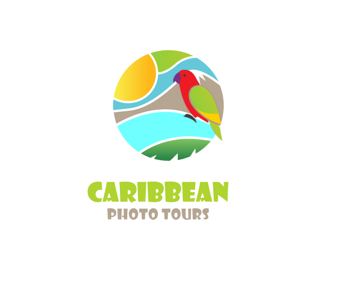 Logo Design by selio for this project | Design #5312529