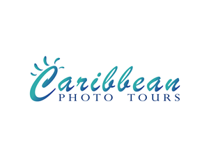 Logo Design by Lilit
