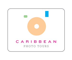 Logo Design by woodtype