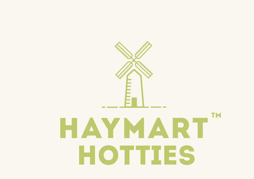 Logo Design by Lumin Design for this project | Design #5305124