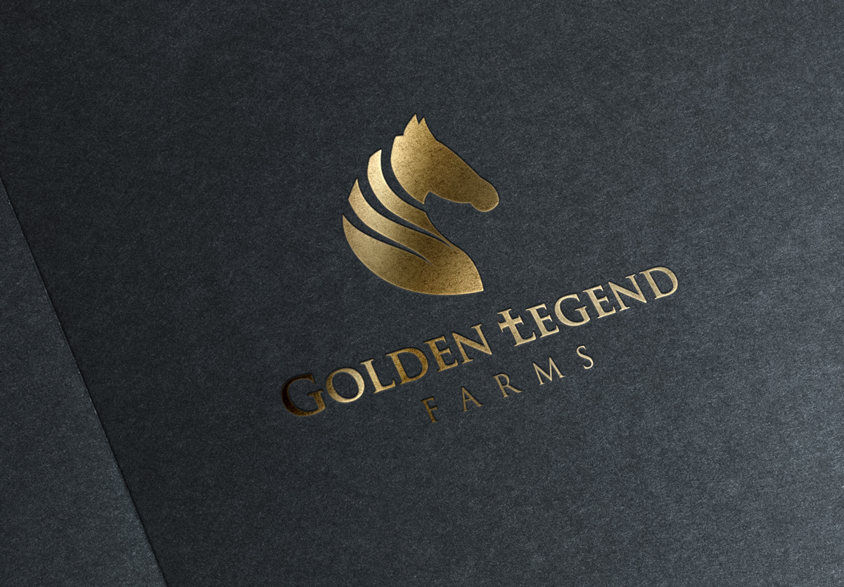 Logo Design by el. for this project | Design #5241003