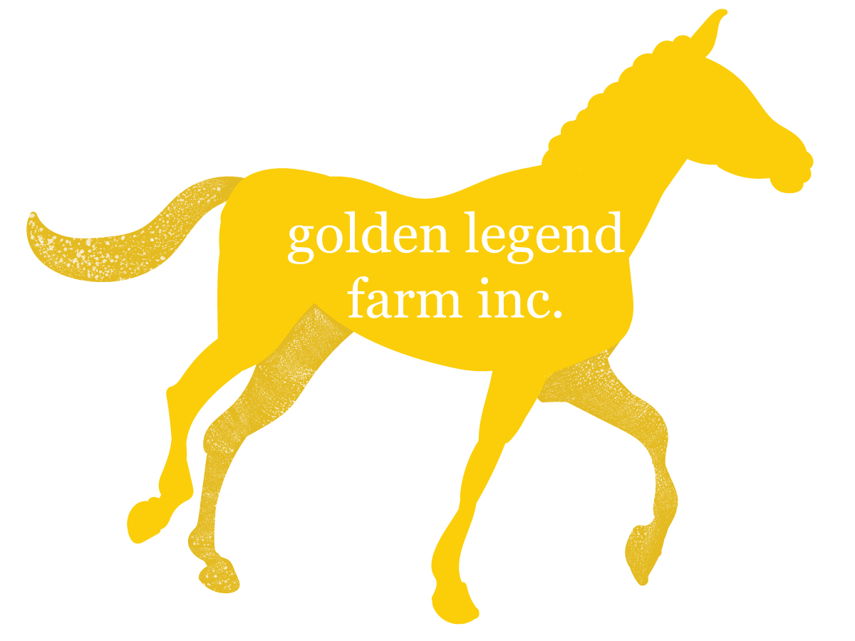 Logo Design by Durkzee for this project | Design #5241165
