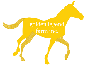 Logo Design by Durkzee