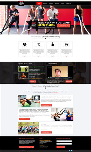 Wordpress Design by Expert Designer