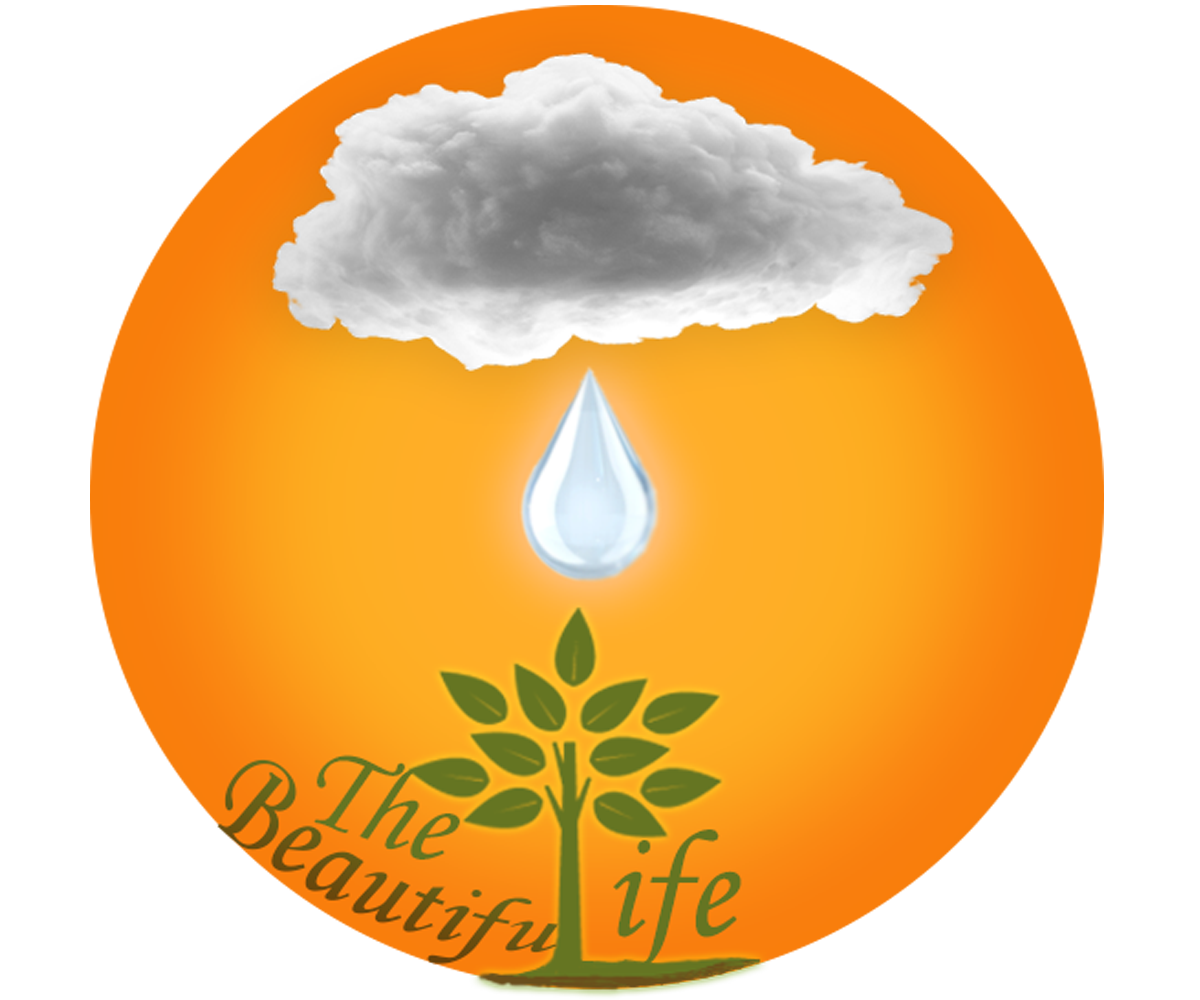 Logo Design by satragnis for this project | Design #5267920