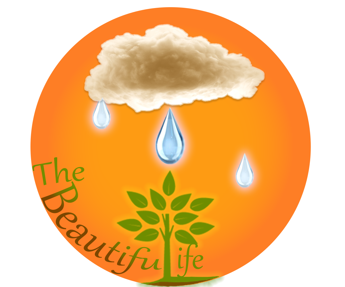 Diseño de Logo por satragnis para este proyecto | Diseño #5267929