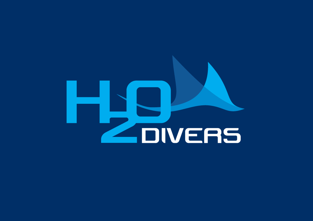 Logo-Design von Nigel B für dieses Projekt | Design #5255193