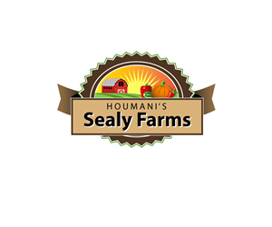 Logo Design by webpagesol