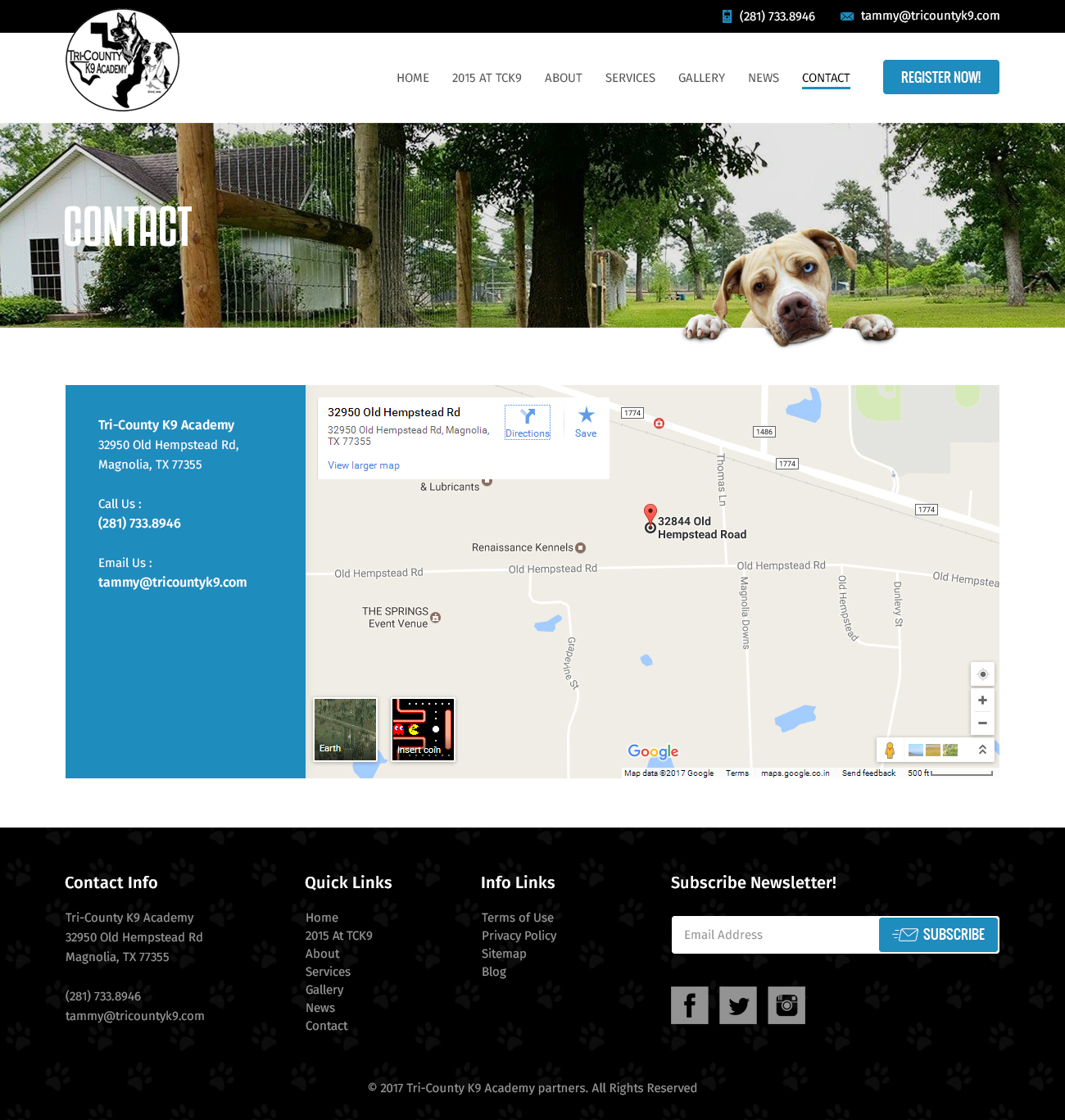 Diseño Web por RupalTechno para Southeast Texas Labrador Retriever Rescue | Diseño #14308213