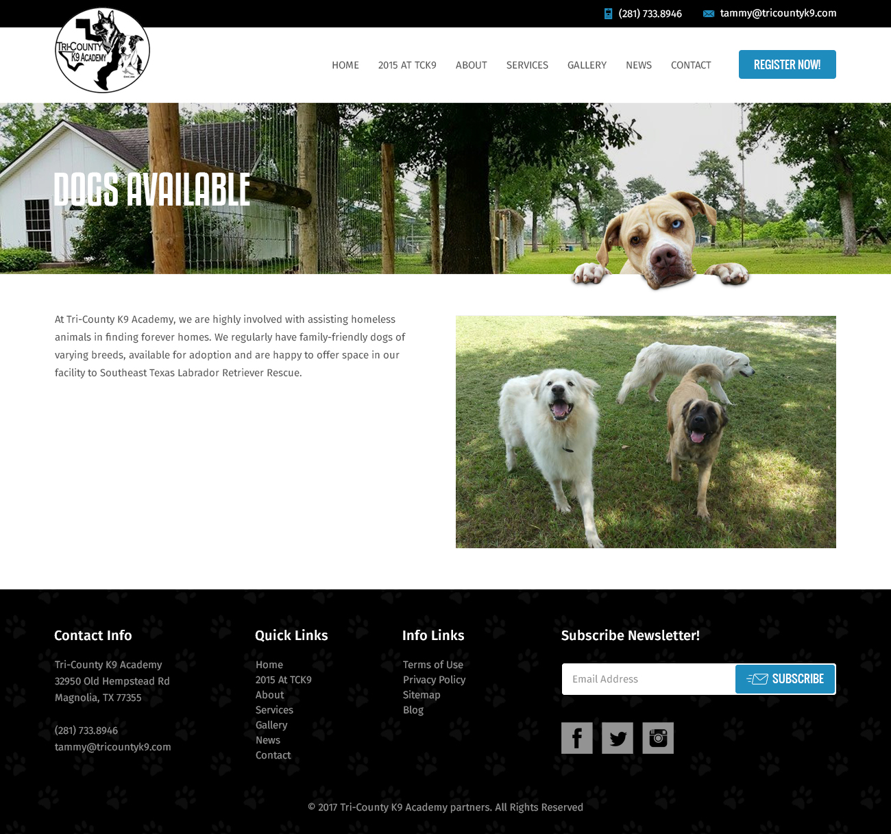 Web Design by RupalTechno for Southeast Texas Labrador Retriever Rescue | Design #14308221