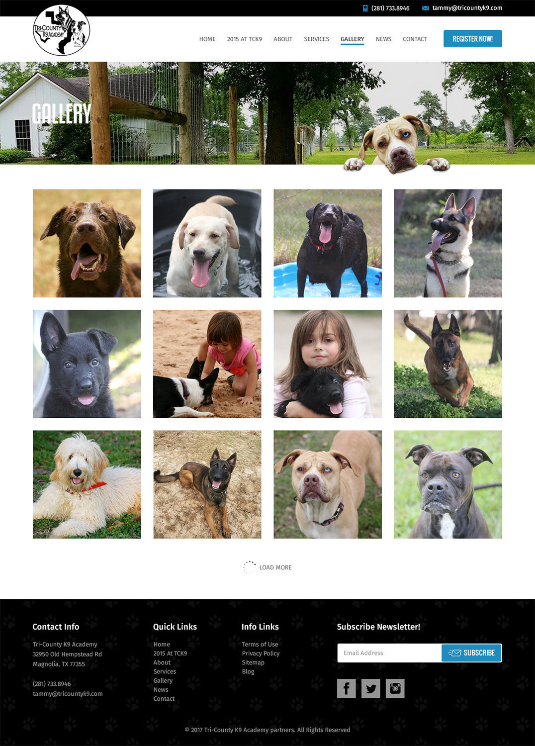 Diseño Web por RupalTechno para Southeast Texas Labrador Retriever Rescue | Diseño #14308225