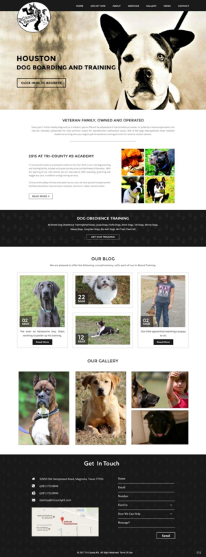 Web Design by pb for Southeast Texas Labrador Retriever Rescue | Design: #14196082