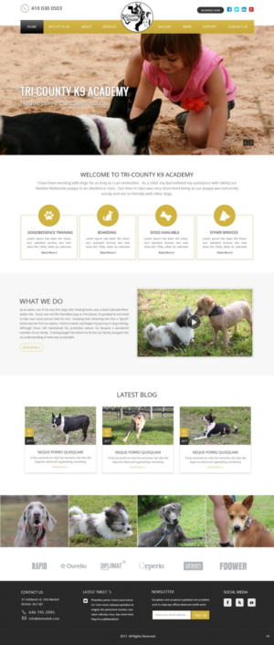 Web Design by pb for Southeast Texas Labrador Retriever Rescue | Design: #14196885